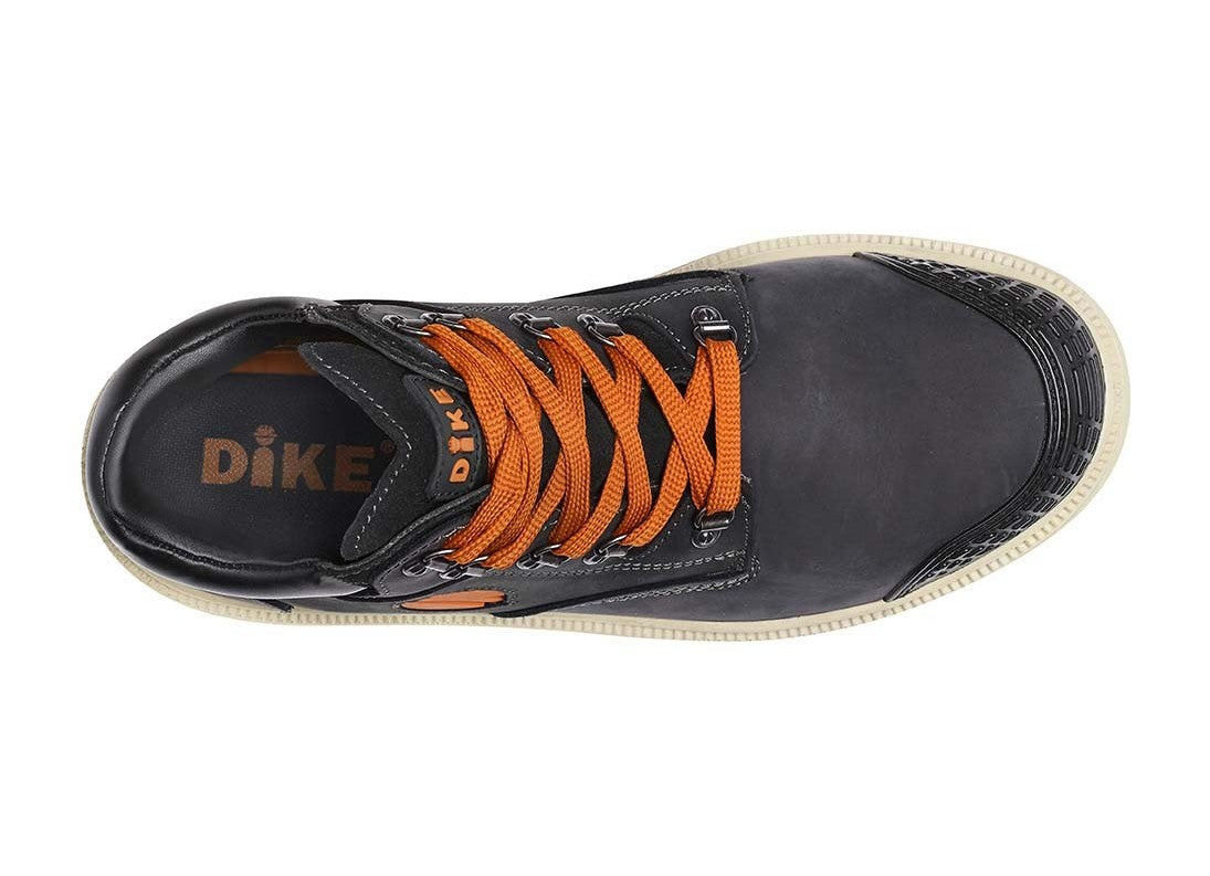 Dint H S3 HRO SRC – Dike