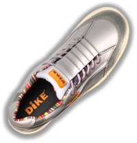 Dike