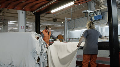 Video - Dike tannery